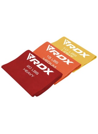 TPE RESISTANCE BAND MULTICOLOR SET BASIC 4 (20804) - pzsku/Z137D883559449D4AFBACZ/45/_/1702801745/88431ff0-33bb-414b-a285-d46fbbb17850