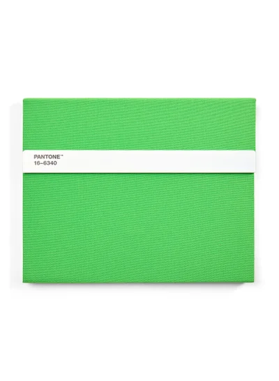 Pantone Creative Unlined Notebook with Pencil – Ideal for Ideas & Doodles – Green