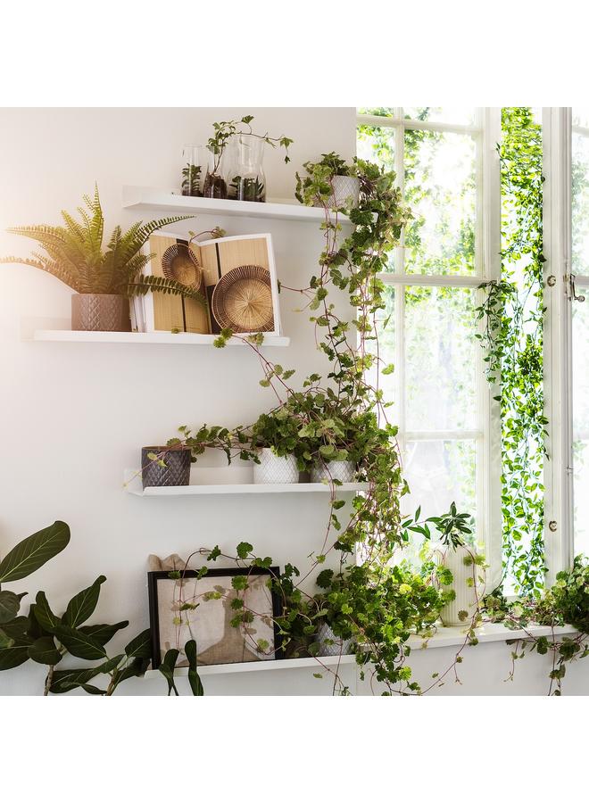 erorex Display shelf, white, 60 cm - Image 5