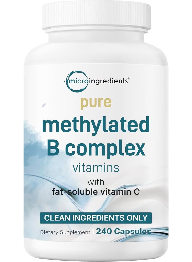 مايكرو إنجريدينس مكمل Pure Methylated B Complex من Micro Ingredients – كبسولات فيتامين ب المركب مع ميثيل فولات وB12 – مكمل غذائي – 240 كبسولة - Image 1