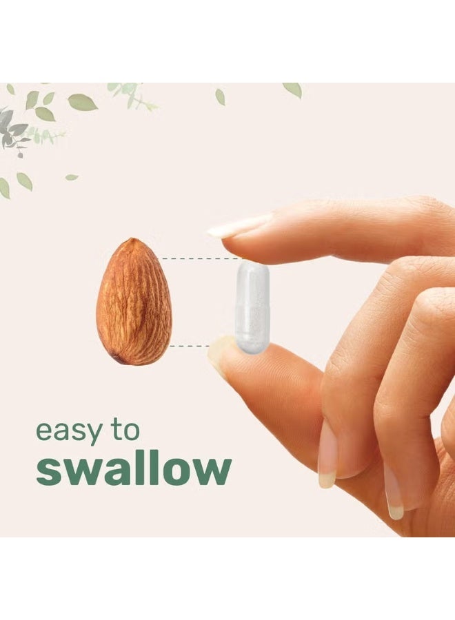 مايكرو إنجريدينس مكمل Pure Methylated B Complex من Micro Ingredients – كبسولات فيتامين ب المركب مع ميثيل فولات وB12 – مكمل غذائي – 240 كبسولة - Image 2