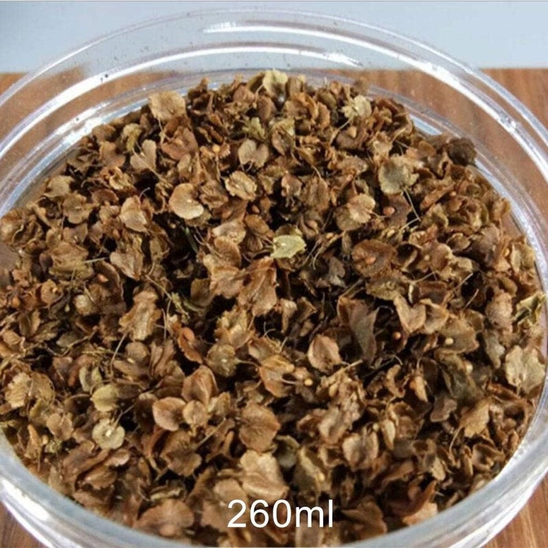 كلاراكو أوراق مصغرة، نموذج مصغر ثابت لسكك حديدية، مواد بناء مناظر طبيعية للحدائق، تصميم طاولة، ديكور مناظر طبيعية، زجاجة 260 مل - Image 2