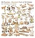 Puzzled 3D Wooden Puzzles Pack of 30 Wood Craft Construction Model Kits for Kids Adults of Assorted Random 30 Kits Educational DIY Toy Unfinished Crafting Hobby Puzzle to Build Paint - Image 4