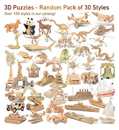 Puzzled 3D Wooden Puzzles Pack of 30 Wood Craft Construction Model Kits for Kids Adults of Assorted Random 30 Kits Educational DIY Toy Unfinished Crafting Hobby Puzzle to Build Paint - Image 5
