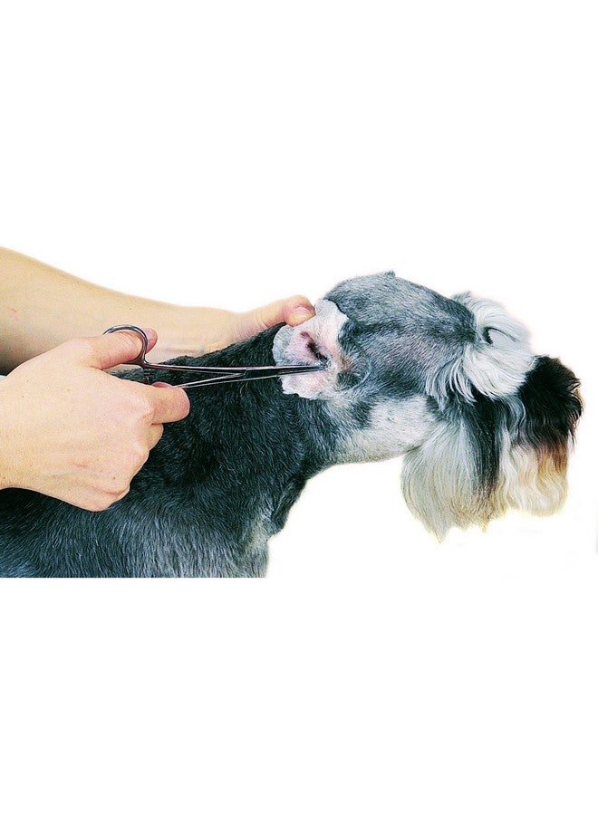 توب بيرفورمانس بودرة بروير بروفيشنال للأذن، 28 جرام - Image 2