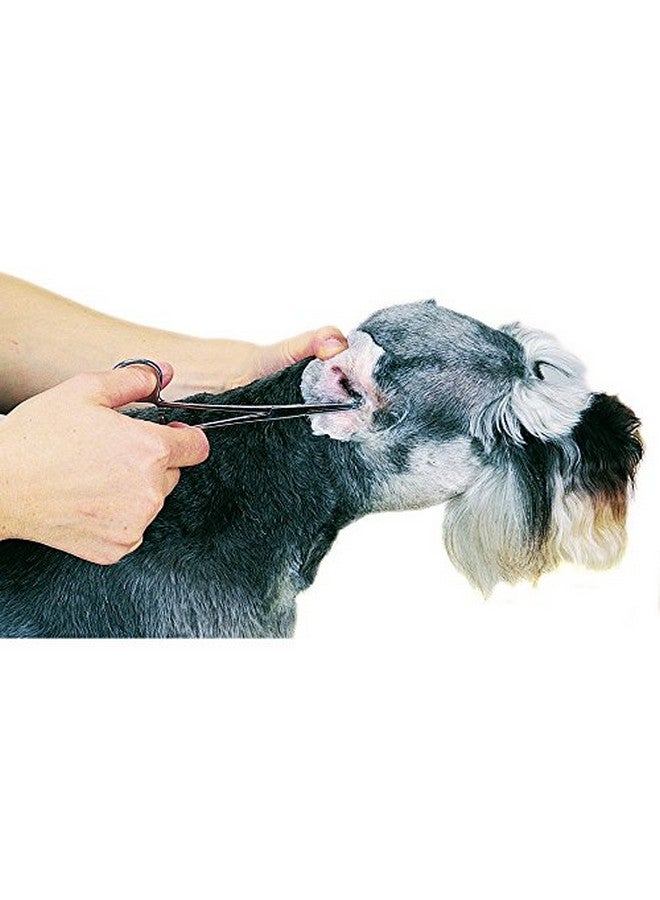 توب بيرفورمانس بودرة بروير بروفيشنال للأذن، 28 جرام - Image 4