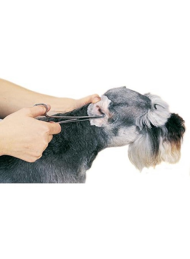 توب بيرفورمانس بودرة بروير بروفيشنال للأذن، 28 جرام - Image 3