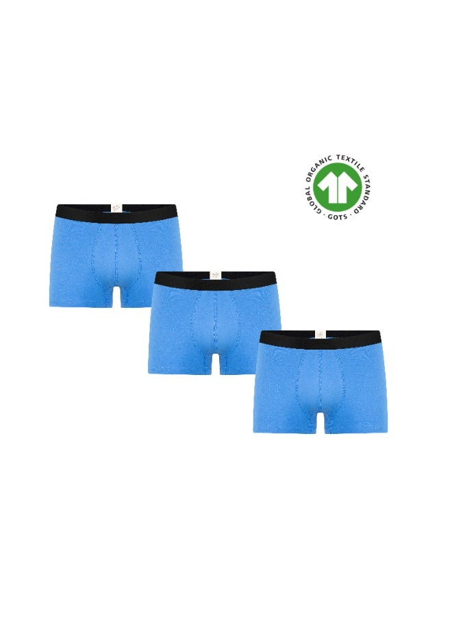 ALBERO NATUR 3P2121-122 Men's Organic Cotton Trunk Shorts - Image 1