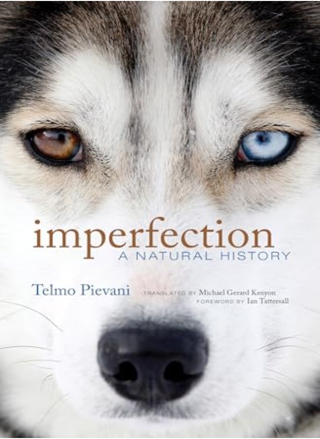Imperfection 