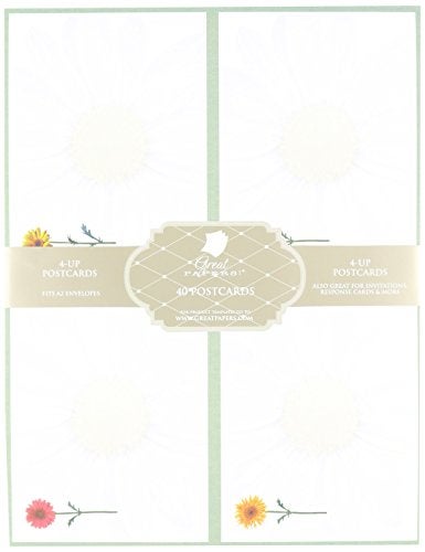 Great Papers! Daisies 4-Up Postcards,10 sheets/40 postcards, 5.5" x 4.25" - Image 1