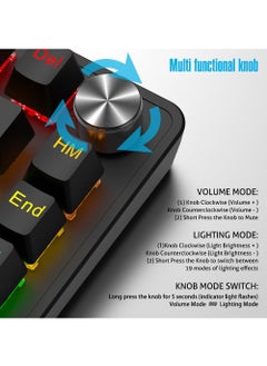 Rock Pow ROCK POW 70% Gaming Keyboard,Arabic English 82 Keys Mechanical Keyboard with RGB Backlit 19 Modes,Volume Lighting Knob Wired Mini PBT Keycaps for PC Gaming and Working (Blue Switch)WB  - Image 3