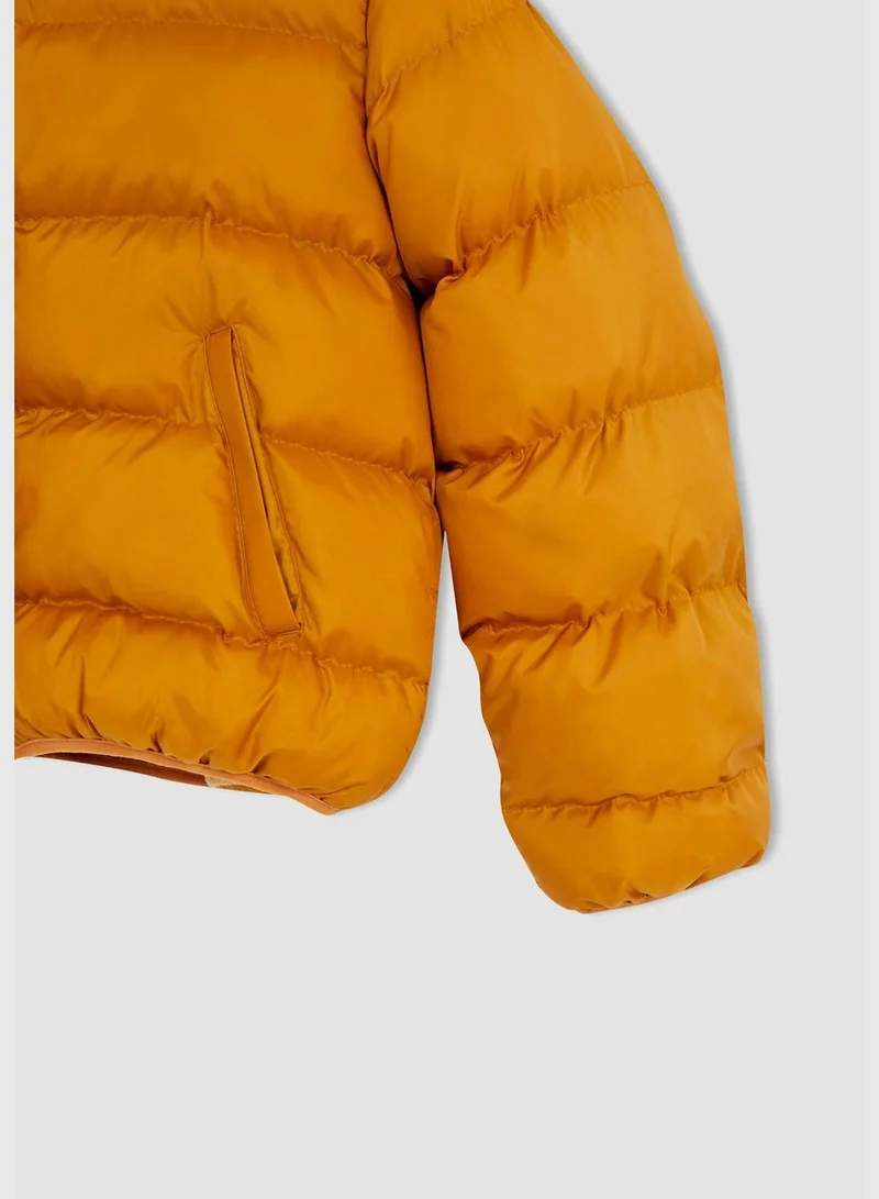 DeFacto Long Sleeve Plush Fur Detailed Jacket