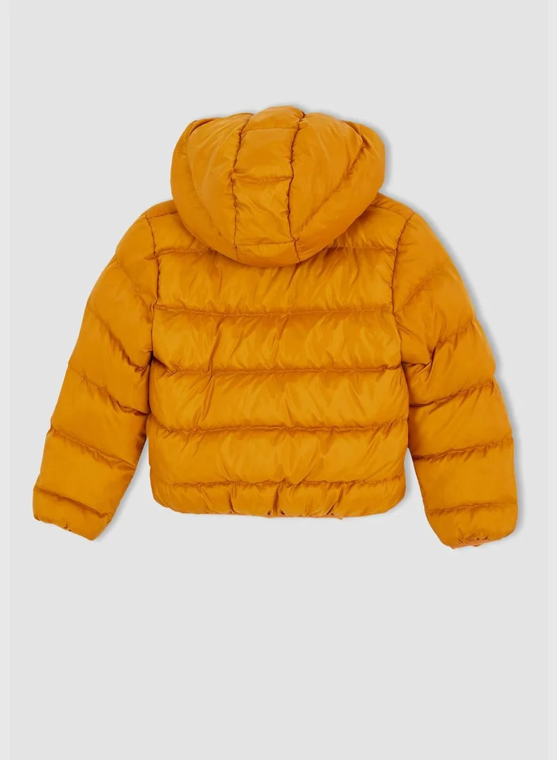 DeFacto Long Sleeve Plush Fur Detailed Jacket
