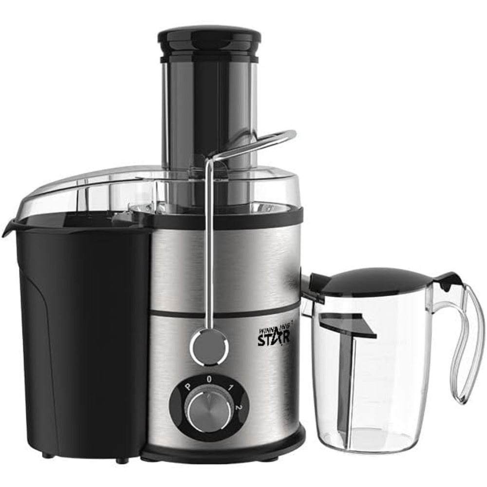 800W 4-in-1 Multifunctional Blender and Juice Extractor Slow Masticating Juicer Machine