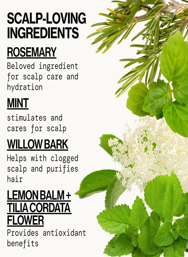 Pacifica Clarifying Shampoo - Rosemary Purify Invigorating Shampoo w/Soothing Mint for Detoxing Hair & Scalp Build-Up, Sulfate & Silicone Free - Vegan & Cruelty-Free Dermatologist Tested - Image 2