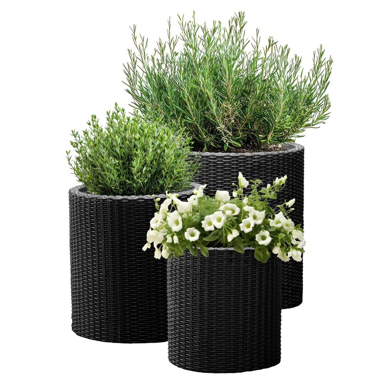 Keter Cylinder Set of 3 Rattan Resin Planter for Indoor and Outdoor Plants Ideal Decorative Planter for Porches and Patio Decor, Black - Image 1