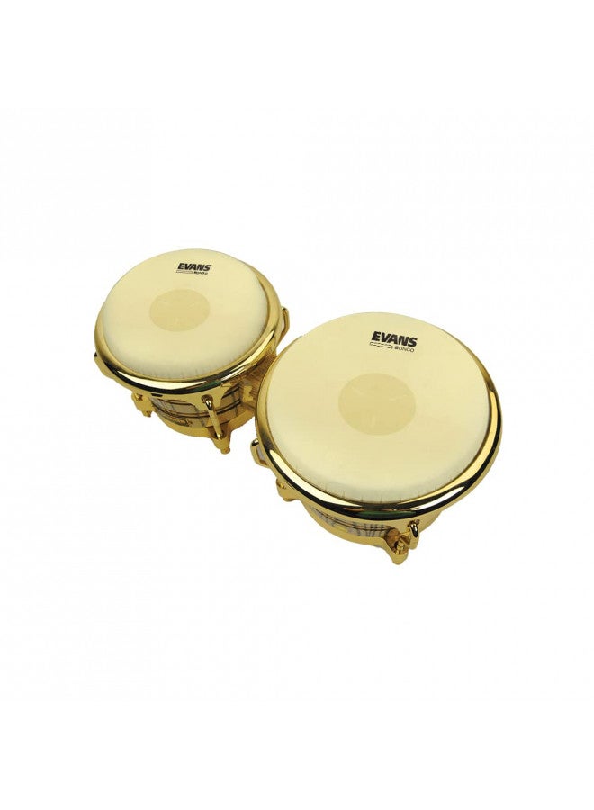 Evans Tri-Center Bongo Drum Head Pack, 7 1/4 and 8 5/8 Inch - Image 2