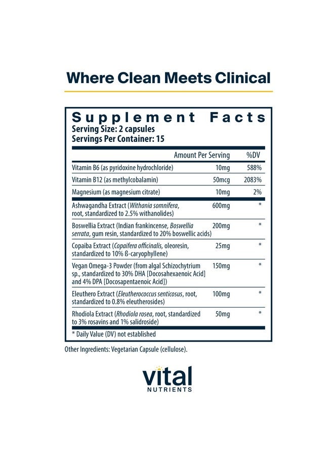 Vital Nutrients توازن الكورتيزول من فيتال نيوترينتس | مكمل نباتي لتخفيف التوتر | مدير الكورتيزول يدعم مستويات الطاقة والتوتر | أشواغاندا وماغنيسيوم للاسترخاء | خالي من الجلوتين والألبان وفول الصويا | 90 كبسولة - Image 2