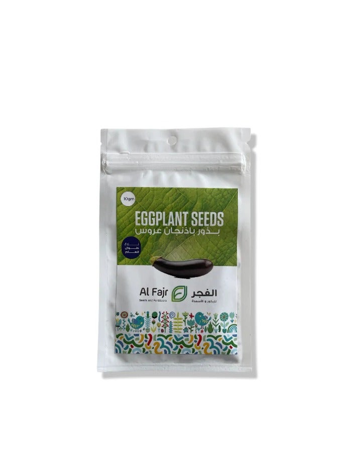 GROW Eggplant seeds - Al Fajr - Image 2