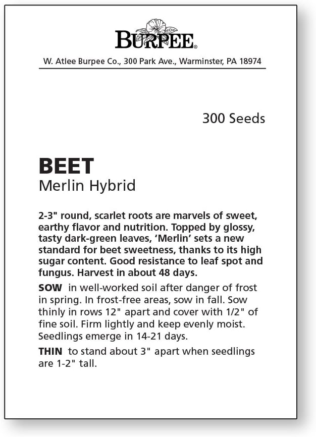 Burpee Merlin Beet Seeds 300 seeds - Image 4