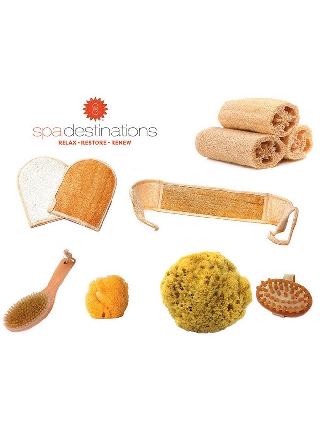 spa destinations Natural Boar Bristle Body Brush Wooden Handle by Spa Destinations Dry Brush and Wet Brush 2 Pk Exfoliating Scrubber for Flawless Skin, Cellulite Treatment, Lymphatic and Blood Circulation - Image 4