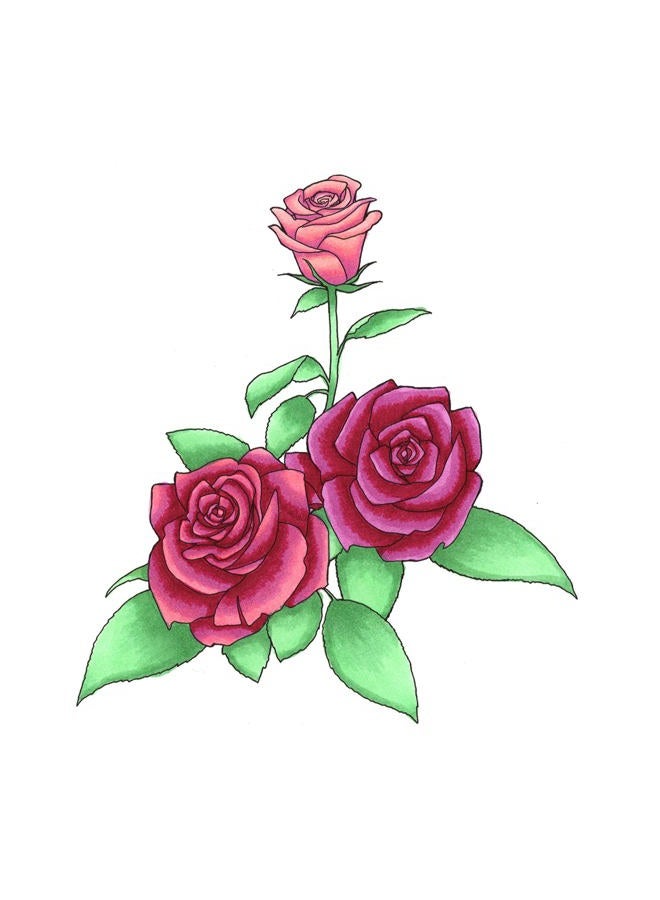 COPIC Sketch, Alcohol Markers, 6pc Set, Floral Favorites 1 - Image 2