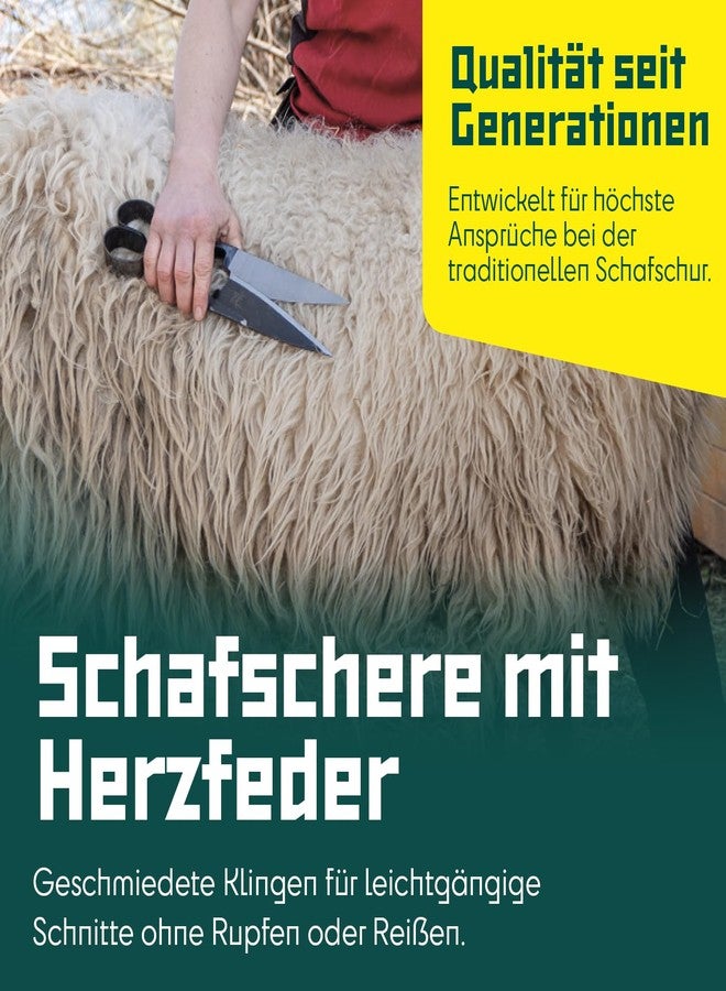 بيرجر مقصات BERGER لتشذيب الأشجار والأغنام 2722 - درجة تجارية، شفرات ذاتية الشحذ، زنبرك على شكل قلب، تصميم مناسب للاستخدام بكلتا اليدين، حافة قطع مستقيمة 6.1 بوصة، طول 12.6 بوصة - Image 3