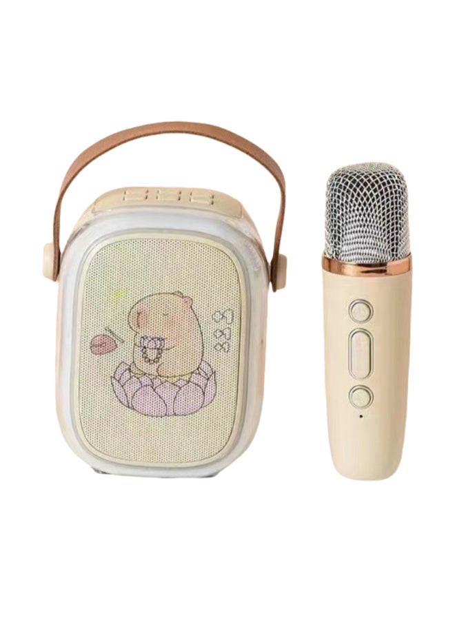 EBMINI Microphone Bluetooth Speaker With Microphone Singing Speaker All-In-One Machine