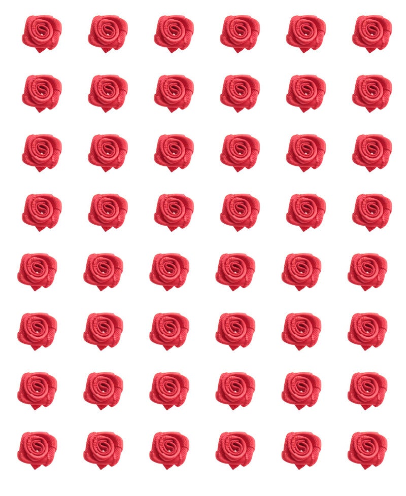 Ruwado 50 pcs Satin Ribbon Roses Mini Flowers Boutique Applique Sewing Embellishment Supplies for DIY Craft Project Scrapbooking Wedding Theme Parties Home Decoration (Red) - Image 1