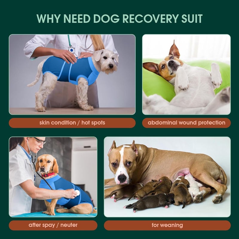 Kuoser Dog Recovery Suit Female, Dog Surgery Suit Male Neuter, Dog Body Suits After Surgery Anti Licking Pet Surgical Suit for Abdominal Wounds Skin Disease, Soft Dog Onesie Substitute Cone, Blue XS - Image 2