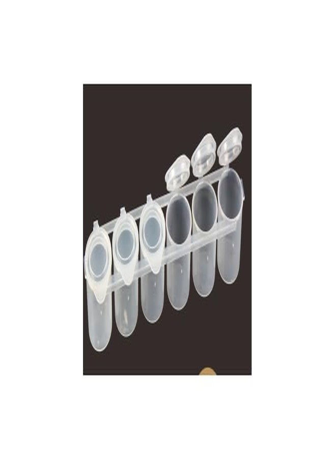HAKIM'S HS Artist Empty Paint Strips 6X30ml - Image 1