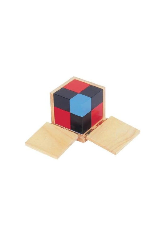 RAYMOND Binomial Cube Educational Toy