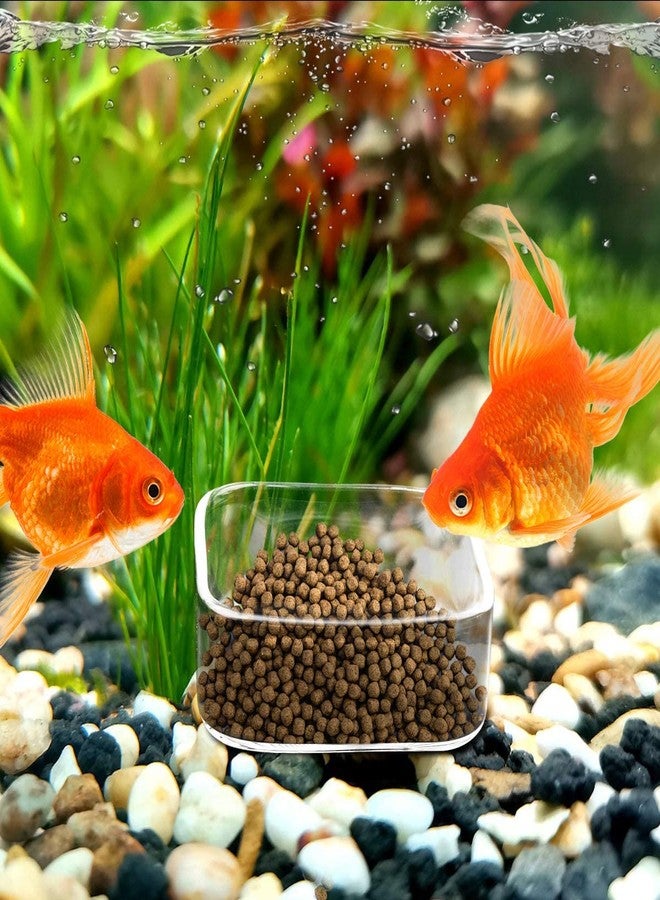 WEAVERBIRD Aquarium Shrimp Feeder Dish Fish Tank Feeding Bowls Glass Square Clear Dish Tray Plate - Image 3