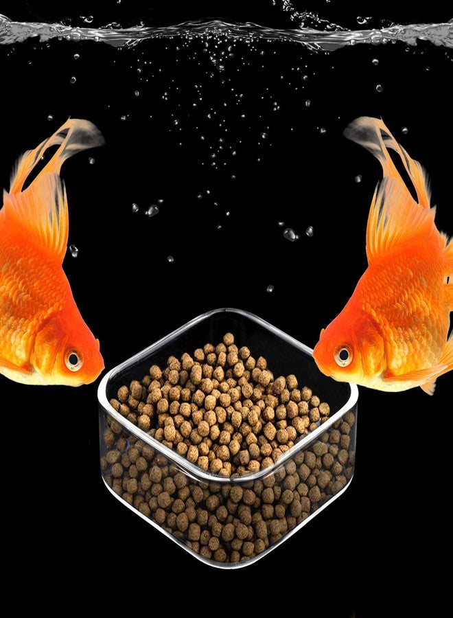WEAVERBIRD Aquarium Shrimp Feeder Dish Fish Tank Feeding Bowls Glass Square Clear Dish Tray Plate - Image 4