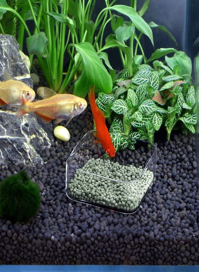 WEAVERBIRD Aquarium Shrimp Feeder Dish Fish Tank Feeding Bowls Glass Square Clear Dish Tray Plate - Image 5