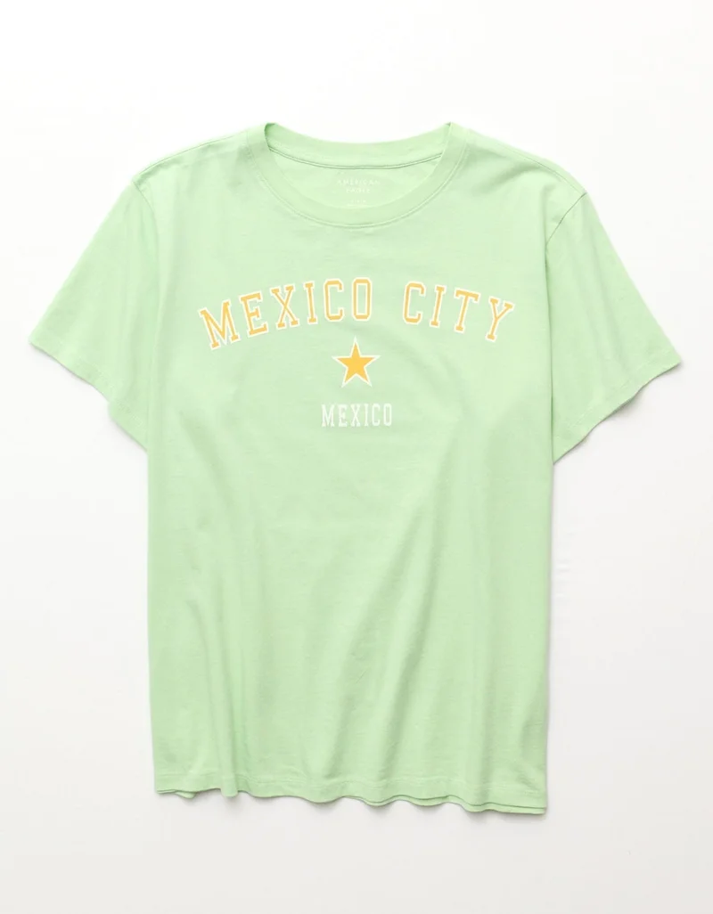 American Eagle  AE Everyday Destination Graphic T-Shirt for Women | Best Price UAE