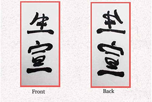 MEGREZ Chinese Japanese Calligraphy Xuan Paper, Rice Paper Sumi Calligraphy Paper for Calligraphy Brush Ink Writing, Painting Without Grids 100 Sheets/Bag,13.4 x 13.4inch, Sheng (Raw) Xuan - Image 3