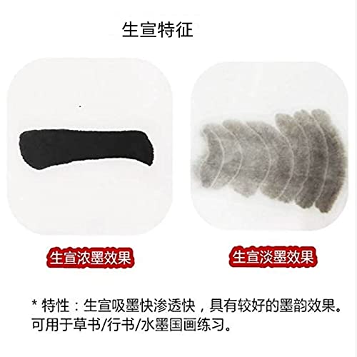 MEGREZ Chinese Japanese Calligraphy Xuan Paper, Rice Paper Sumi Calligraphy Paper for Calligraphy Brush Ink Writing, Painting Without Grids 100 Sheets/Bag,13.4 x 13.4inch, Sheng (Raw) Xuan - Image 2
