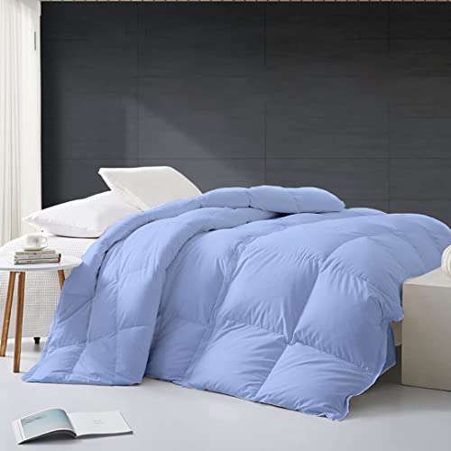 Razzai 500 GSM Winter Comforter Premium Collection Quilted microfiber Comforter (90" x 100" Inches/228cm x 254cm) - Double Bed Comforter|Sky Blue| TC - 400 - Image 2