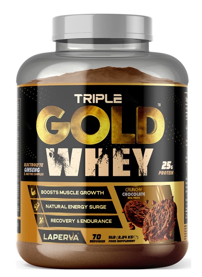 Laperva Triple Gold Whey Crunchy Chocolate Flavour 5 LB - pzsku/Z13A44D678AF73506E308Z/45/_/1731914807/b3ae249c-9a4a-4369-a43c-cb4212fa66b4