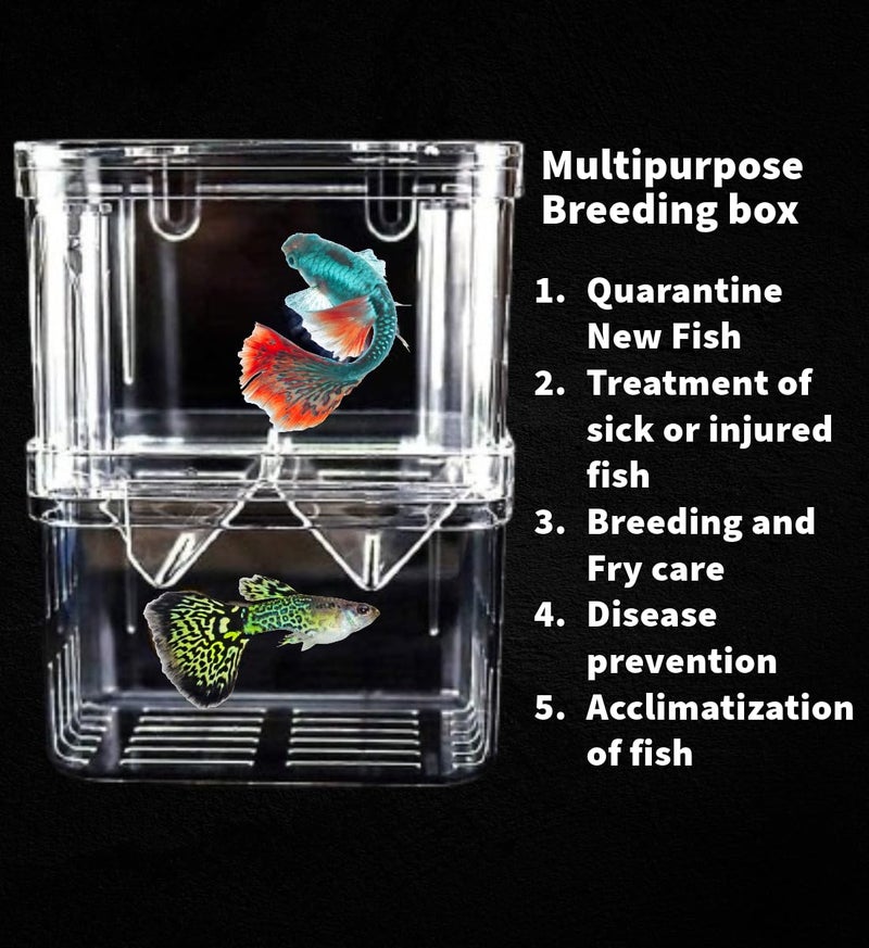 Scroll Store Store Aquarium Double Deck Isolation Box | Breeding Box for auqarium Fish and Shrimp (Small) - Image 2