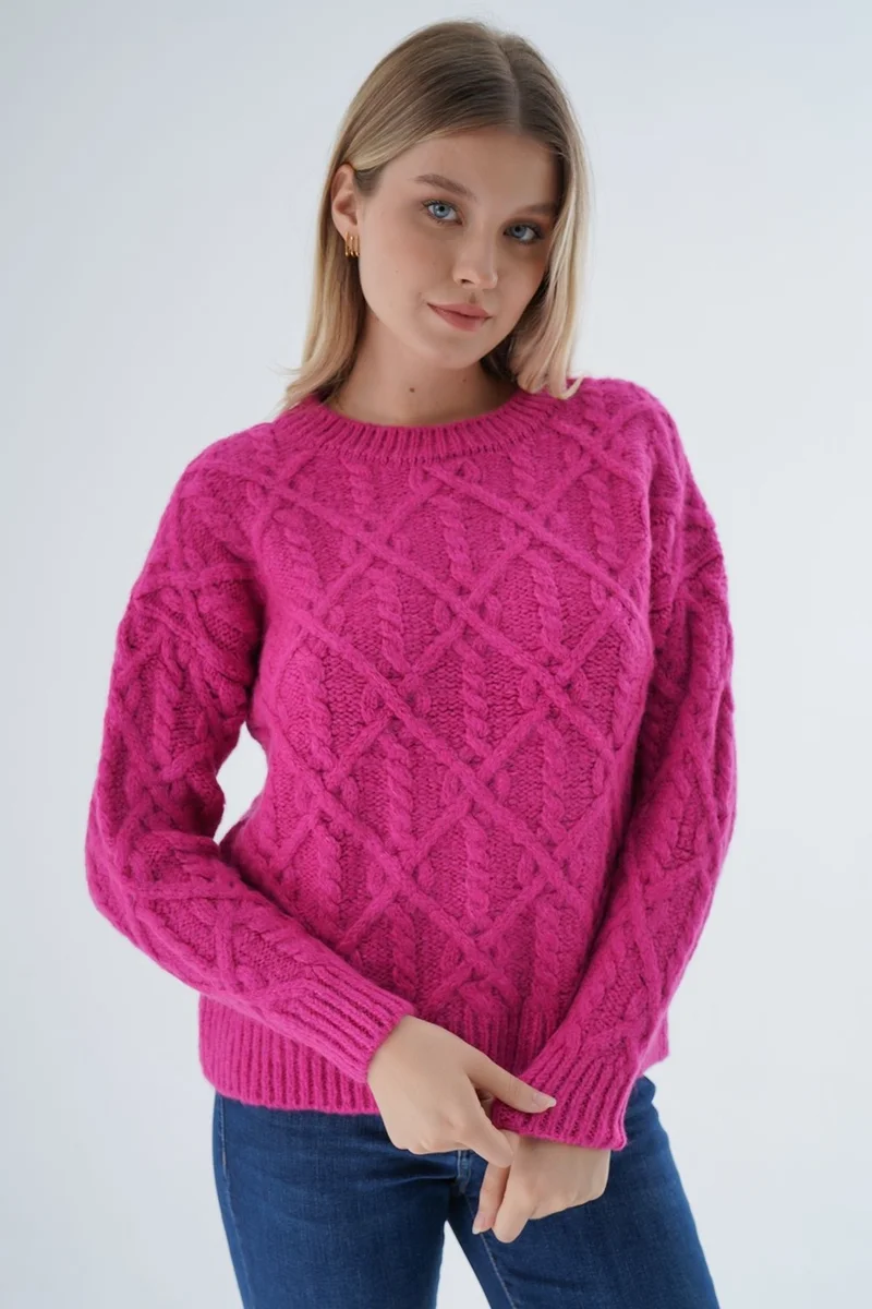 Trist Star Women Fuchsia Crew Neck Walk Hair Knitted Wool Blend Special Yarn Knitwear Knitted Sweater TRIST-6164