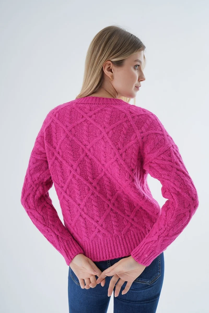 Trist Star Women Fuchsia Crew Neck Walk Hair Knitted Wool Blend Special Yarn Knitwear Knitted Sweater TRIST-6164