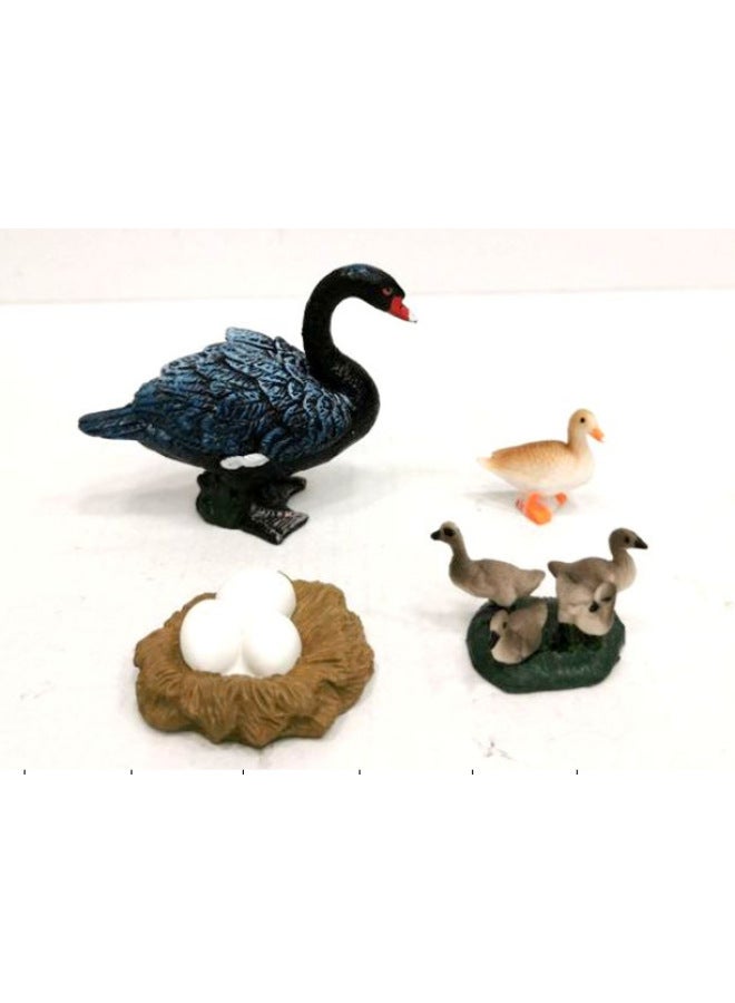 Early Education Cognitive Toys Solid Animal Models Realistic Frog Sea Turtle Mosquito Ant Cockroach Life Cycle-Color:Black Swan Growth Cycle 97.7G - Image 1