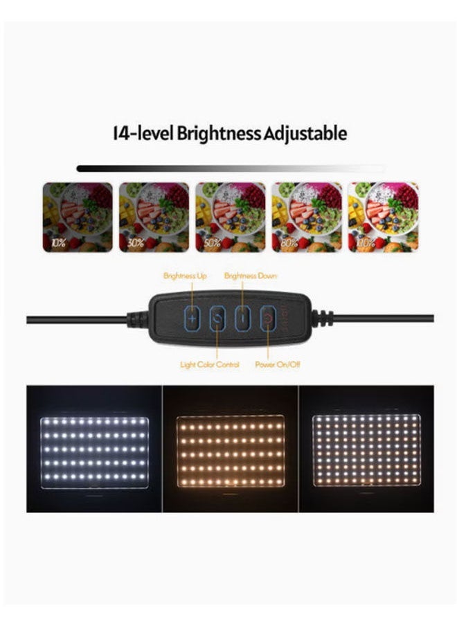 Arabest ضوء ملء LED قابل للتعتيم 5600K، فلتر لون مع حامل قابل للتعديل، 15W 220V أضواء استوديو محمولة لجلسات التصوير، إضاءة تصوير فيديو لتسجيل الفيديو والبث والتصوير - Image 5