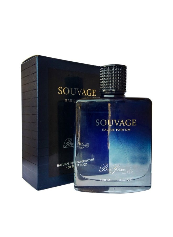 Souvage Eau De Parfum for Men - 100ml - pzsku/Z13A7BFDFDC4C9F0142BEZ/45/1742062948/a2661e32-73ad-476a-b2f0-143eedcc450e