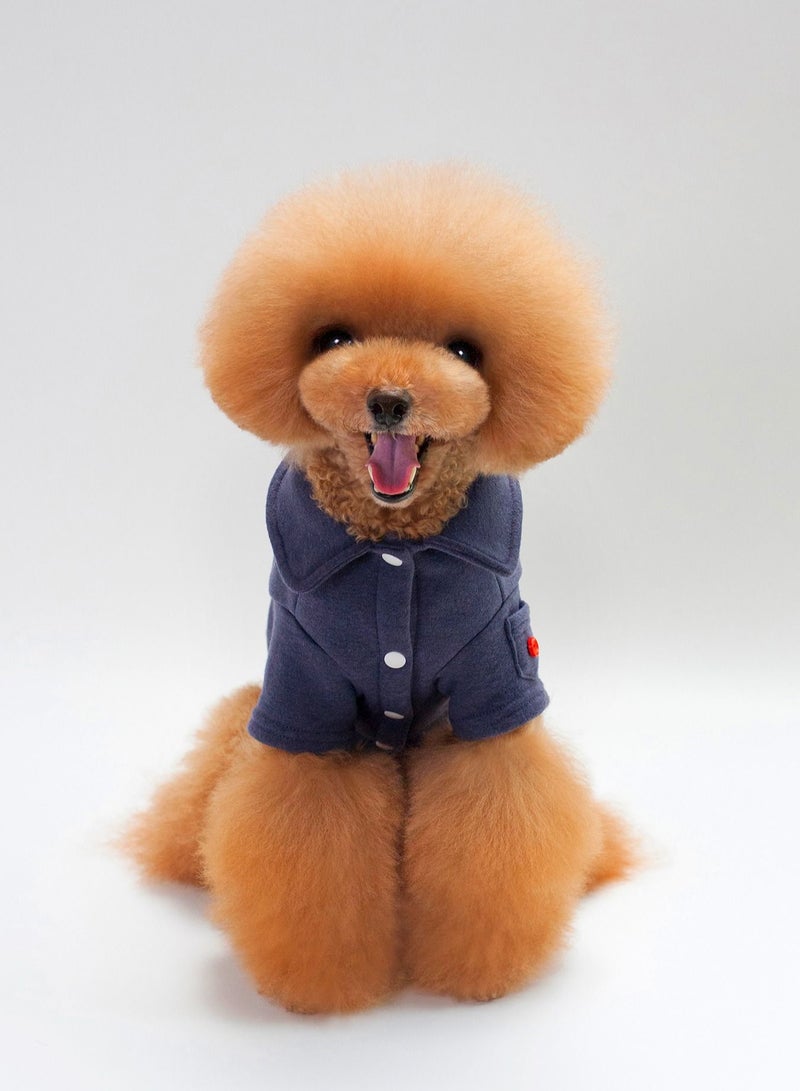 Loquat Casual dog T-shirt Blue - Image 1