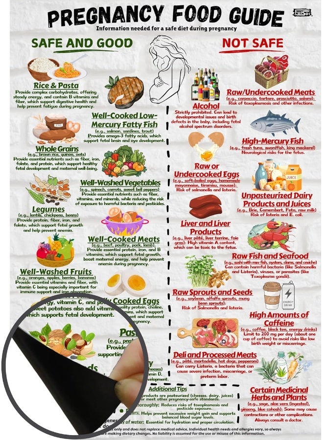 Pregnancy Food Guide Magnetic Chart A4 Fridge Magnet With Safe And Unsafe Foods For Expecting Moms And Maternity Care – Durable, Easy-To-Read Board. - Image 1