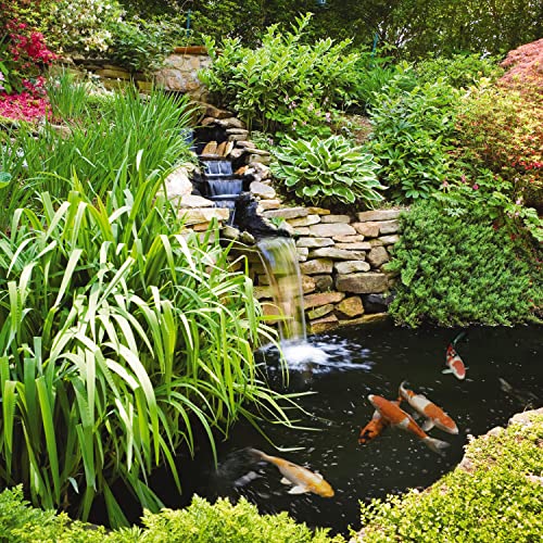 Tetra Pond AlgaeControl 16.9 Ounces, Controls Green Water And String Algae In Ponds (77187) - Image 3