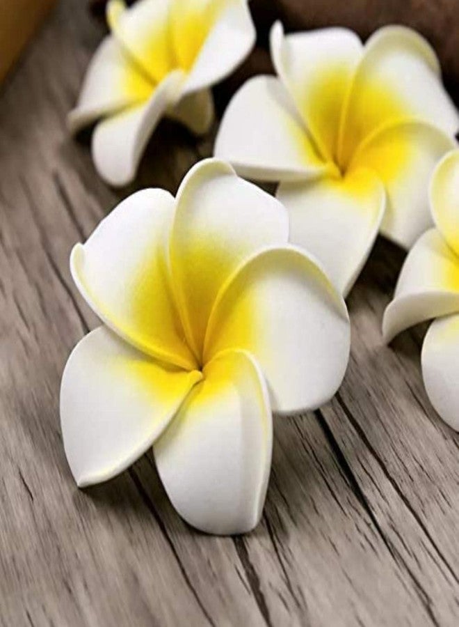 VRB Dec™ Artificial gBig Foam Hawaaii Fake Foam Water Floating Flowers for Pooja Thali, Festival and Events, Home, Table, Badroom, Pooja Room, Diwali Decoration (12, White) - Image 3